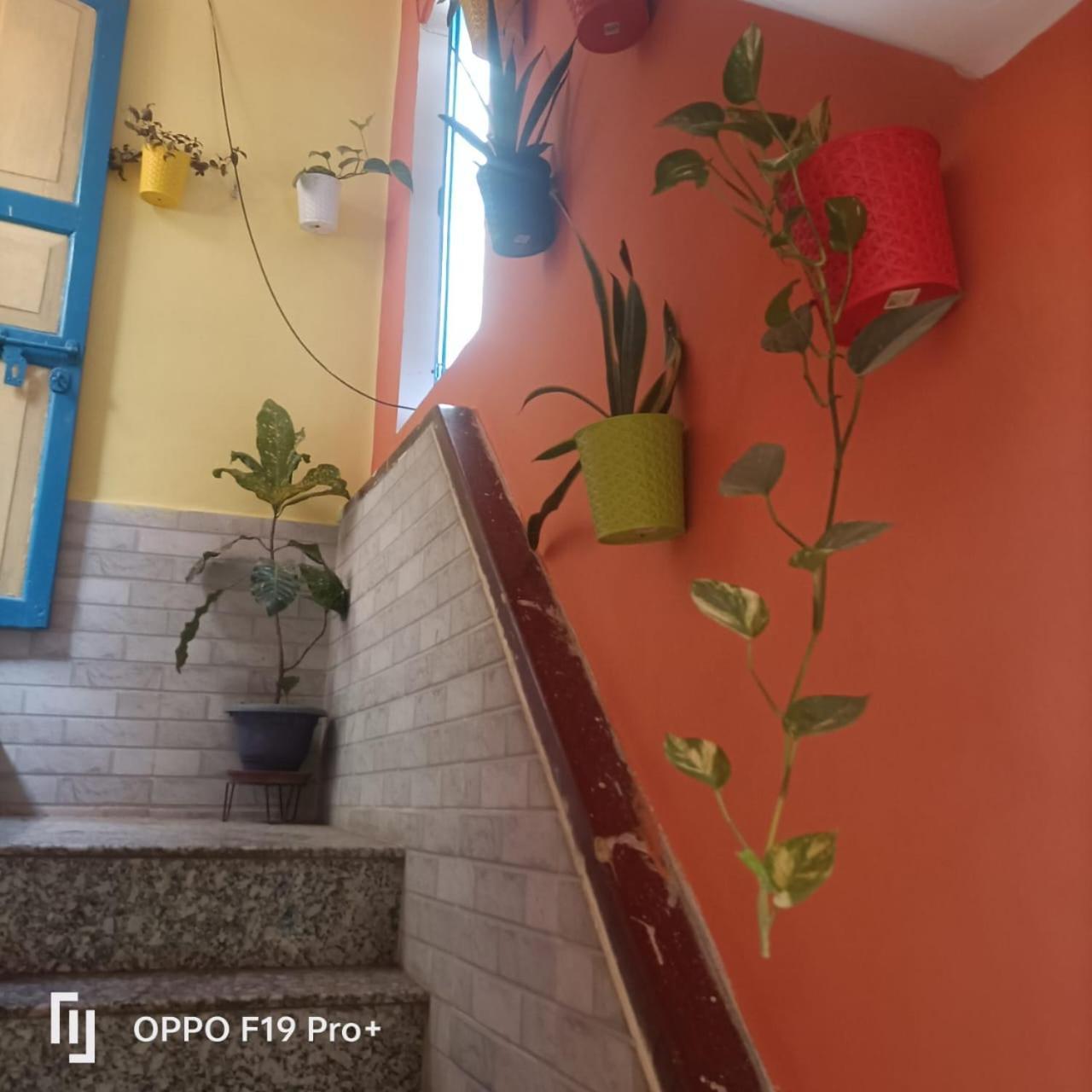 Home Stay Suraj Inn バラナシ エクステリア 写真